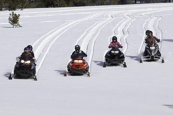 snow mobiles